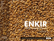 Tablet Screenshot of enkir.it